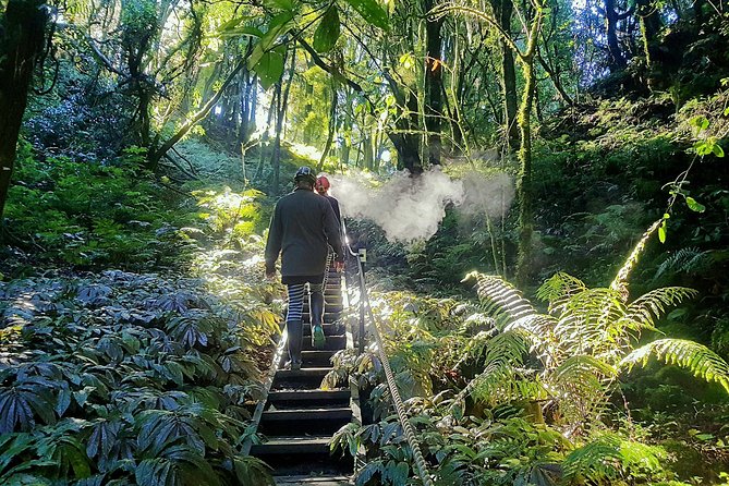 Waitomo’s Hidden Gem: Small-Group Off the Beaten Track Tour - Key things I’d circle before you go