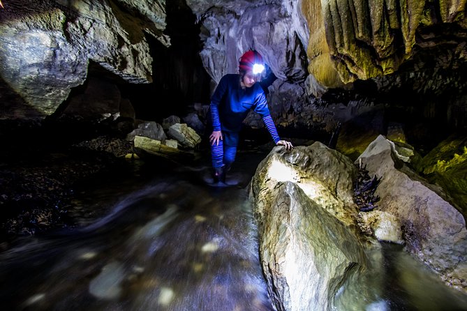 Waitomo’s Hidden Gem: Small-Group Off the Beaten Track Tour - Inside the cave: over two hours of glowworm time