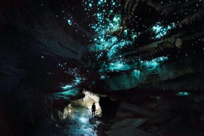 Waitomo’s Hidden Gem: Small-Group Off the Beaten Track Tour - The walk in: prep, safety briefing, and a taste of the bush