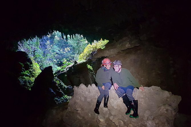 Waitomo’s Hidden Gem: Small-Group Off the Beaten Track Tour - The warm tea-and-cookies finish you’ll actually appreciate