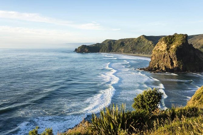West Coast Discovery - Piha Beach or Muriwai Beach from Auckland - Key Highlights Worth Your Time
