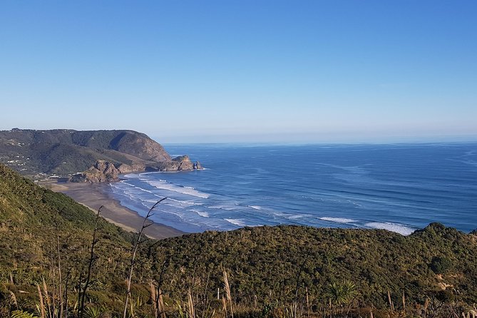 West Coast Discovery - Piha Beach or Muriwai Beach from Auckland - Arataki Centre: Your Big-Sea View Before You Hit the Coast