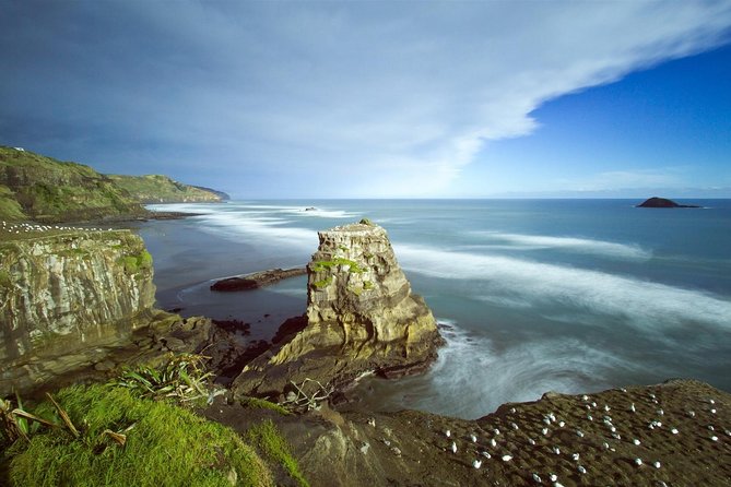 West Coast Discovery - Piha Beach or Muriwai Beach from Auckland - Price and Logistics: Is $123.49 Worth It?