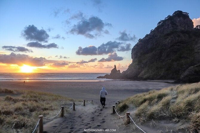 West Coast Discovery Piha Beach Private Tour - The Morning Start: Pickup Timing and an Omaha Beach Bonus