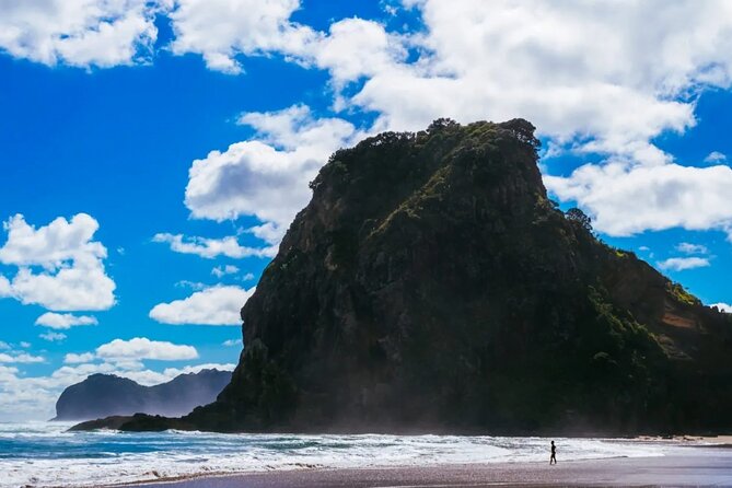 West Coast Discovery Piha Beach Private Tour - Karekare Falls: Forest Waterfalls Plus a Real Kiwi Picnic Lunch